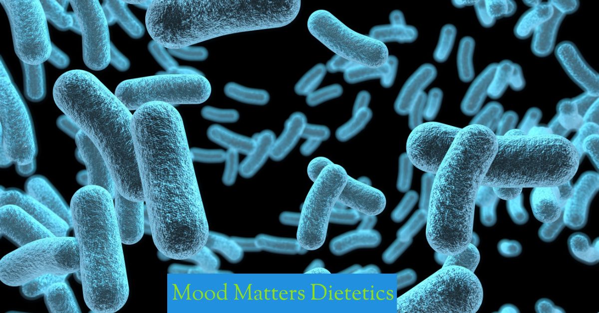 How the Gut and Brain Communicate